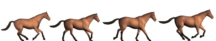image Galop a droite du cheval