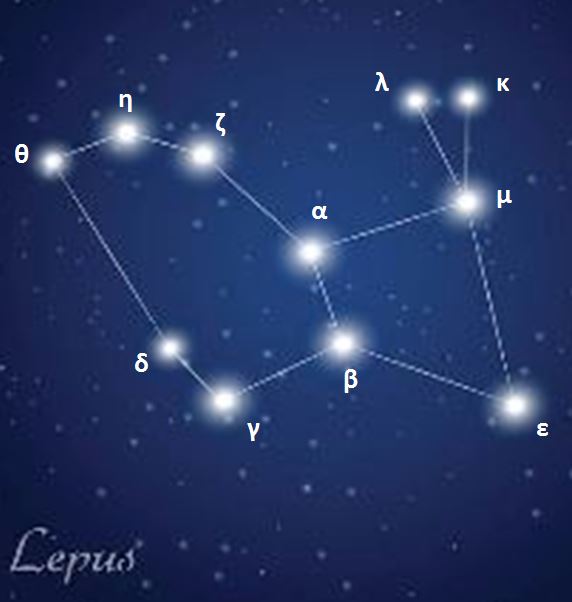 image Constellation - Lievre