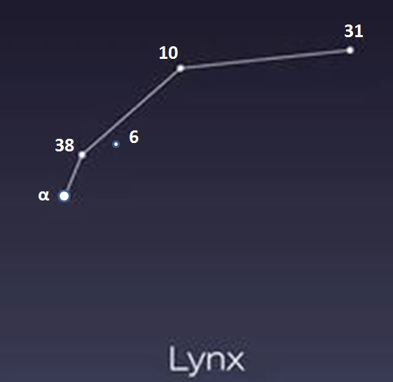 image Constellation - Lynx