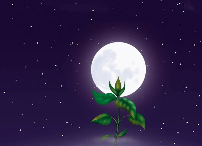 image Influence de la Lune