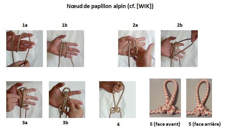 image Noeud de papillon alpin