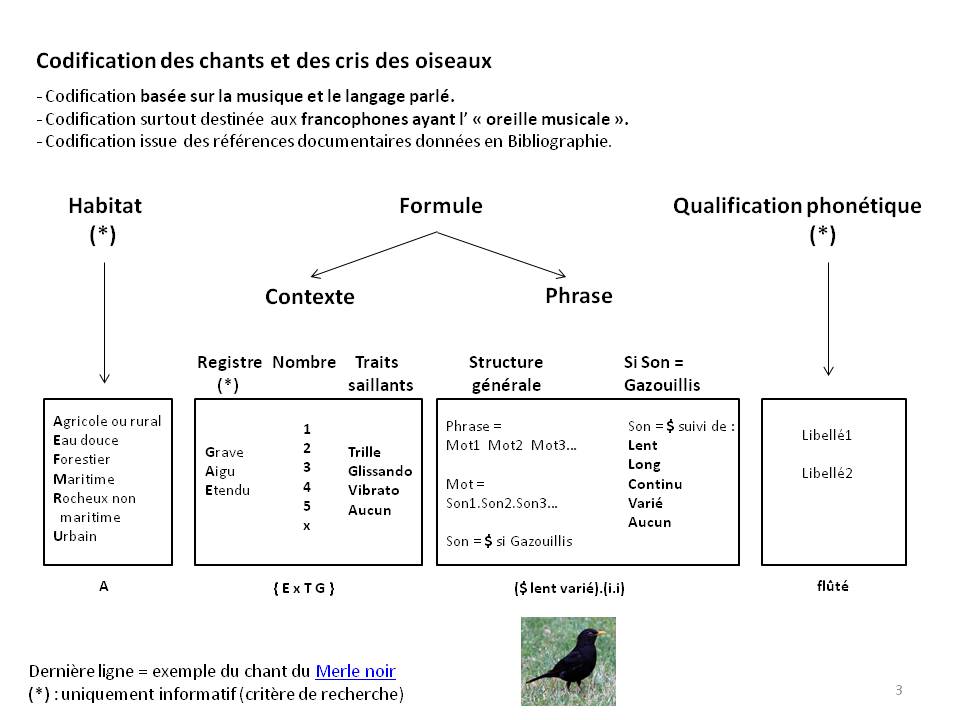 Image ornithologie : methode3